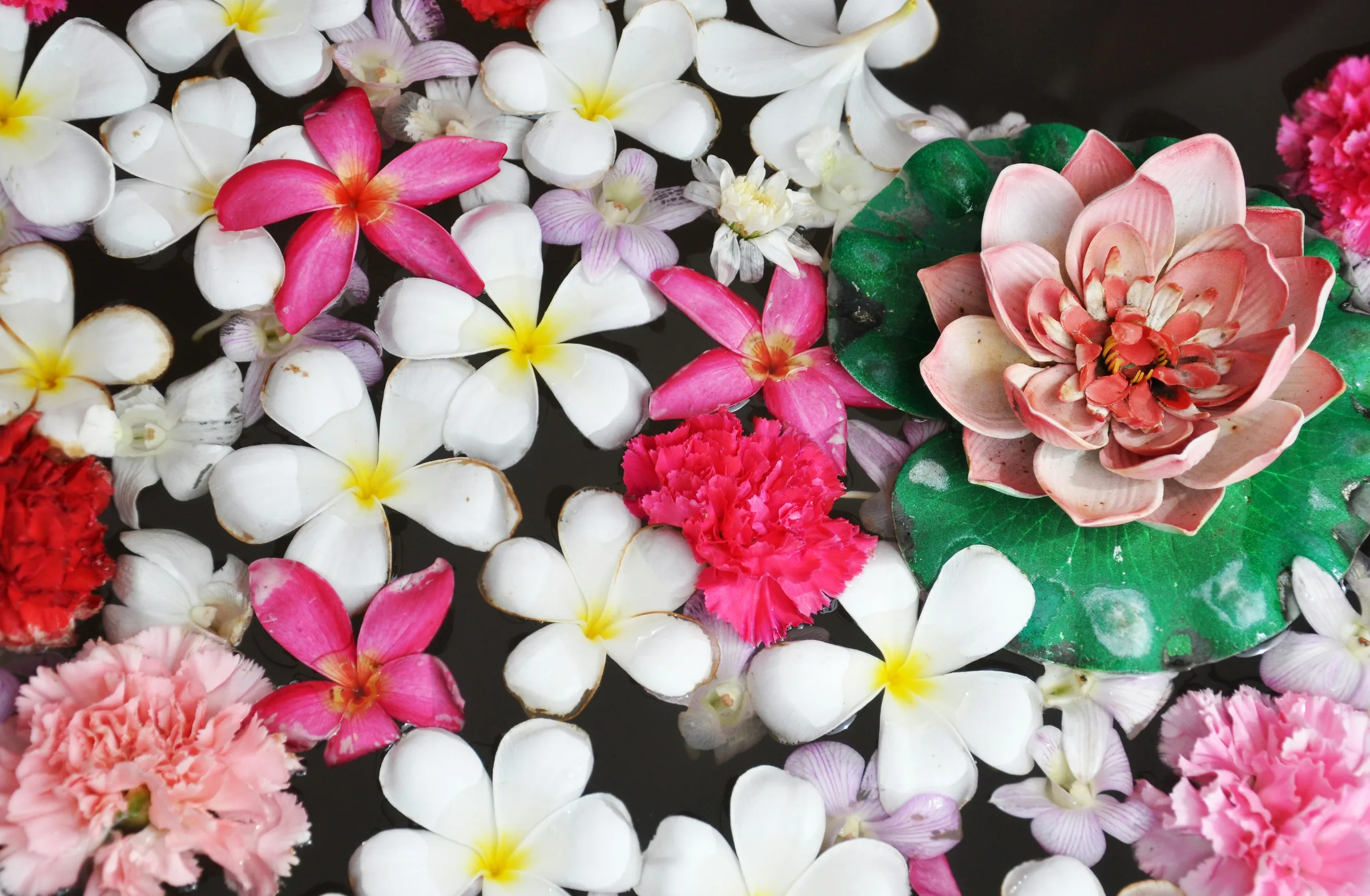 Colorful Balinese flowers arranged on dark water